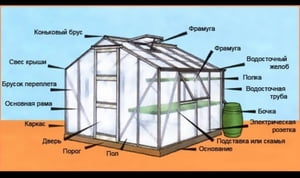 Виды теплиц