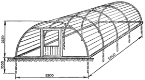 Строительство теплиц