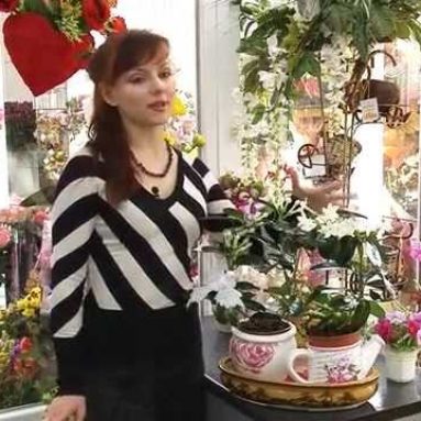 Стефанотис: стоит ли выращивать дома и как это делать?