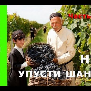 Обрезка винограда весной