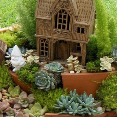 Удивительный мини-сад на подоконнике — делаем на зависть подруге