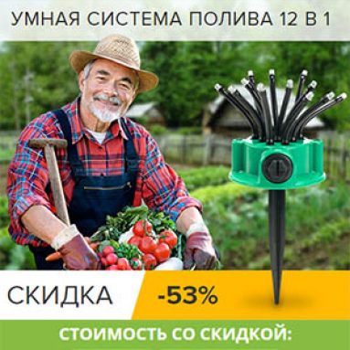 Цветок фацелия: разновидности, фото, полезные качества и выращивание