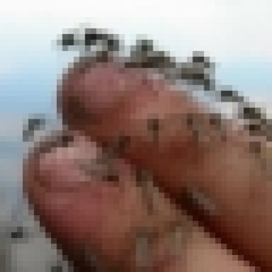 Лилии ОТ — сорта гибридов и особенности ухода