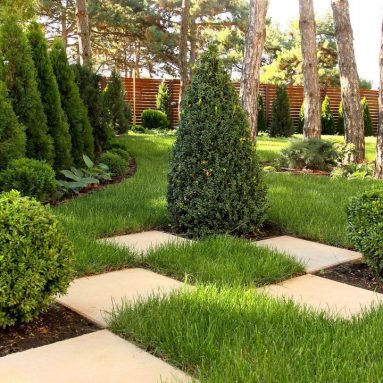 3 правила грамотного ландшафтного дизайна