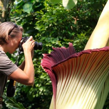 10 самых необычных растений в мире