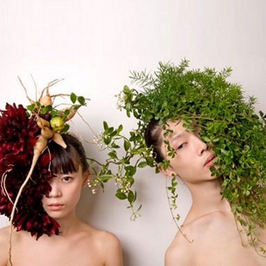 ТОП-6 комнатных растений, которые заставят забыть о головной боли