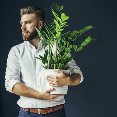 Эти комнатные цветы сделают твоего мужчину успешнее на 100%
