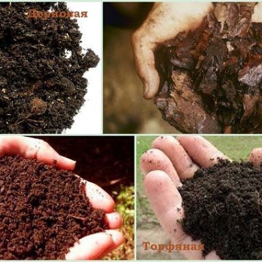 Что это такое дерновая земля: виды земельных смесей