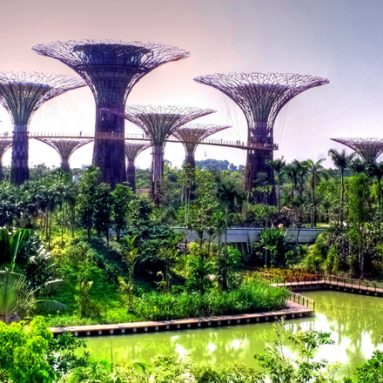 Концепция идеального города-сада: чем она не угодила властям СССР