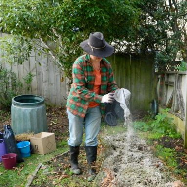 Не навозом единым… Чем ещё удобрить землю весной в огороде?