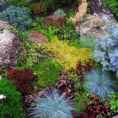 Выбор многолетних растений для альпийской горки