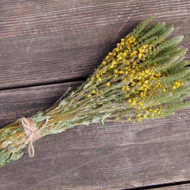 Репешок: особенности применения королевской травы при лечении болезней