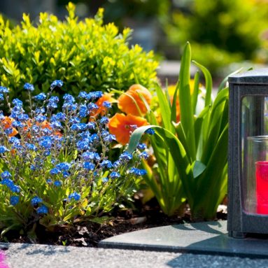 Тихий сад: какими растениями оформить могилу усопшего