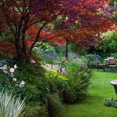 Способы сделать ярче тенистые уголки в саду