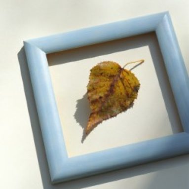 Как необычно засушить цветы, чтобы они продолжали радовать глаз долгое время