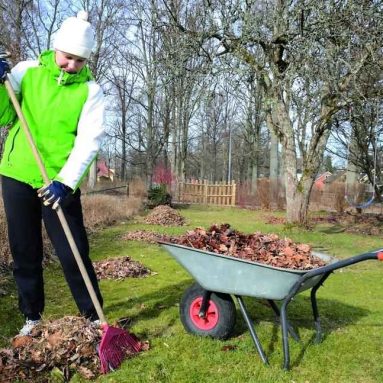 Дача ранней весной и работа в саду