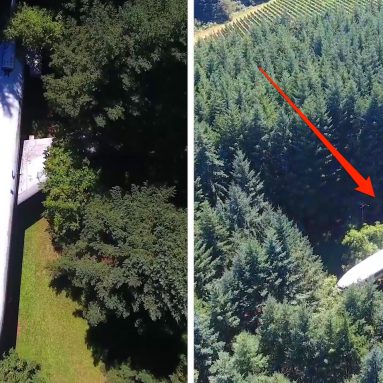 Жить в самолете: Дом из Боинга 727 посреди леса