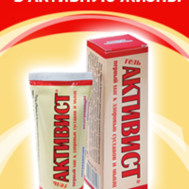 Композиции из суккулента, уход в домашних условиях