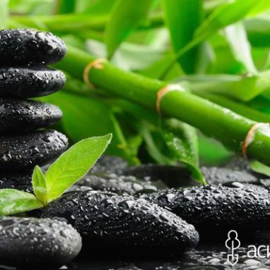 7 растений, которые несут в дом позитивную энергию