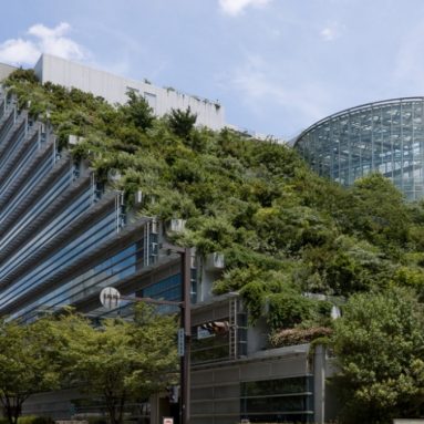 Экологичная архитектура: Топ 5 самых «зеленых» зданий в мире