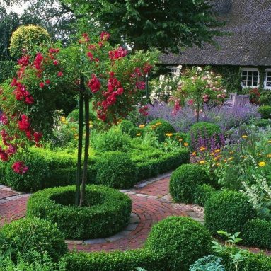 Что посадить на даче с минимумом ухода весной и летом