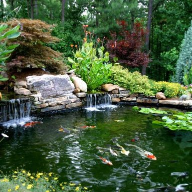 7 крутых вариантов чем украсить кромку пруда [+фото]