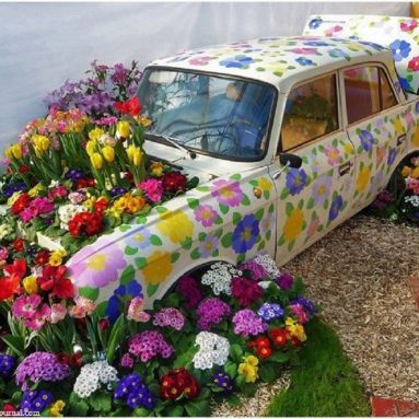 Создаем красочные клумбы [смелые идеи декораций]