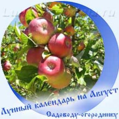 Лунный календарь на август 2020 года для садоводов и огородников