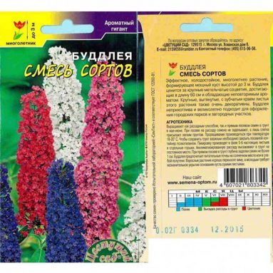 Виды буддлеи и уход: буддлея Давида выращивание из семян