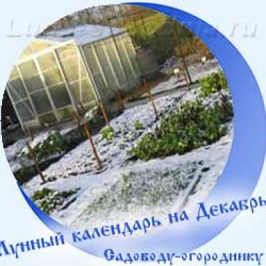 Лунный календарь садовода и огородника на декабрь 2020 года