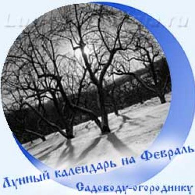 Лунный календарь садовода и огородника на февраль 2020