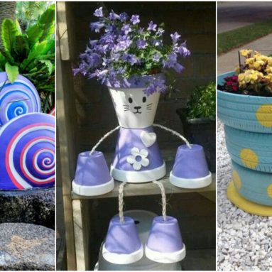 10 идей для красоты вашего сада