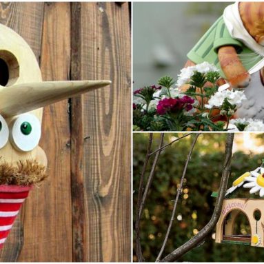 12 идей для скворечника: учимся креативу и приносим пользу