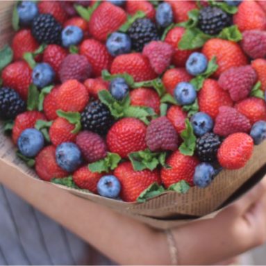 Лесные ягоды на твоем участке: черника, голубика, брусника