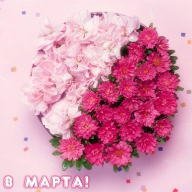 8 цветов, которые легко вырастить на подоконнике к 8-му марта