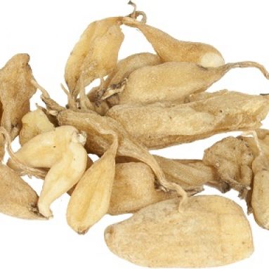 Как применять ятрышник — растение для женского здоровья и мужской силы