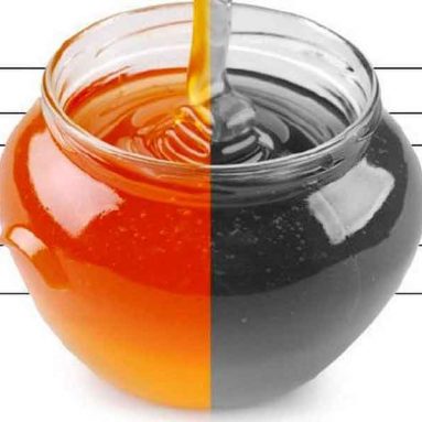 Сладок обман: учимся отличать качественный мёд