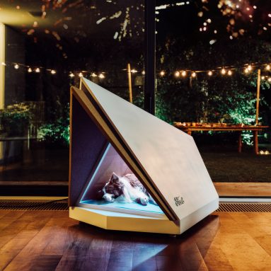 Создаем оригинальное жилище для вашей собаки [15 идей]