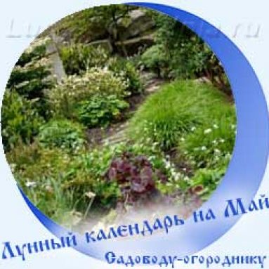 Лунный посевной календарь огородника и садовода на май 2020