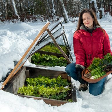 Секретный способ посева зелени в феврале под снег. Получи самый ранний урожай