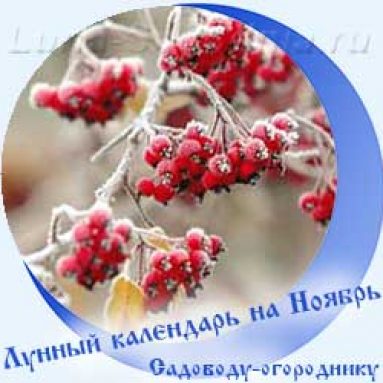 Лунный календарь садовода и огородника на ноябрь 2020 года