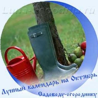 Лунный календарь садовода и огородника на октябрь 2020 года