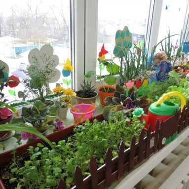 Какую зелень лучше выращивать на подоконнике