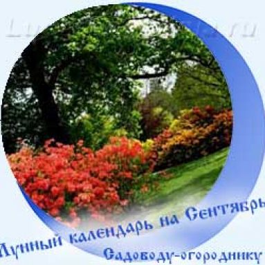 Лунный календарь садовода и огородника на сентябрь 2020 года