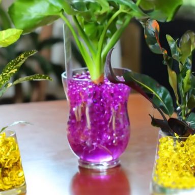 Гидрогель: аккумулятор роста и генератор урожая