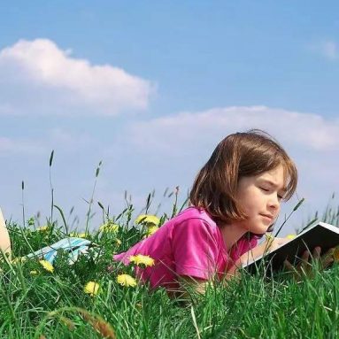 Как определить состав почвы по сорнякам-индикаторам