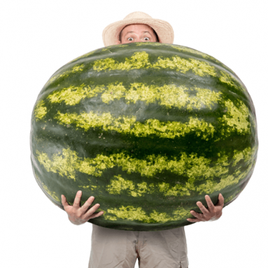 5 простых хитростей для Вашего огорода