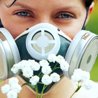 Рейтинг гипоаллергенных цветов. Что лучше не садить на даче?