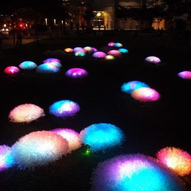 Превращаем свой участок в волшебный дворец с помощью лампочки