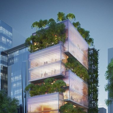 Сельское хозяйство в черте города: прихоть или необходимость?